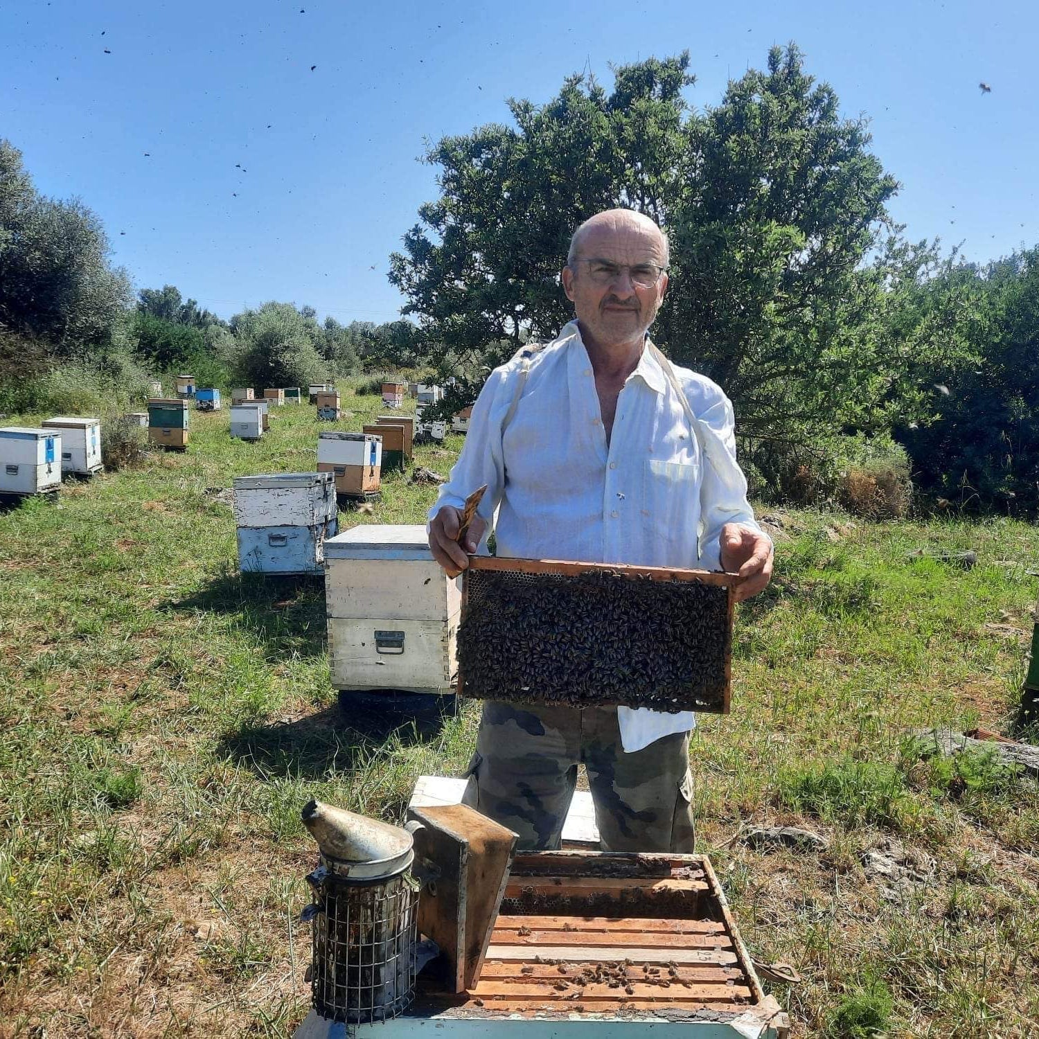 Fourth-Generation Greek Beekeeper in Laconia with Traditional Apiary