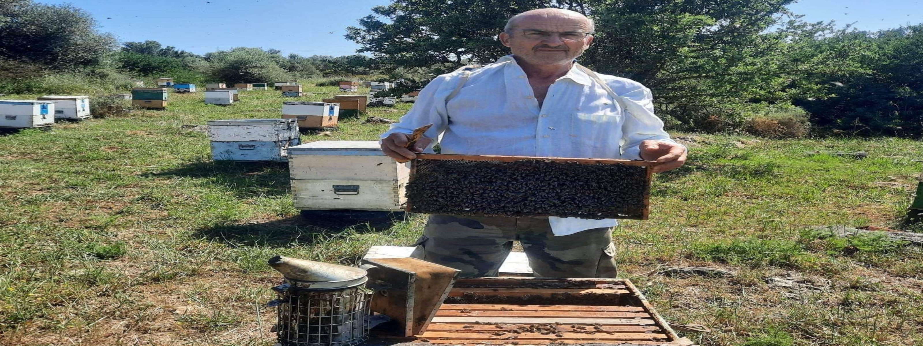 Fourth-Generation Greek Beekeeper in Laconia with Traditional Apiary