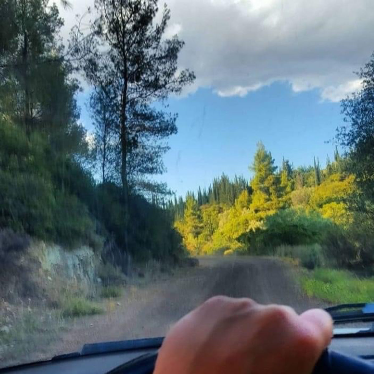 Driving through forest in Laconia, Greece β source region of Wild Greek Forest Honey