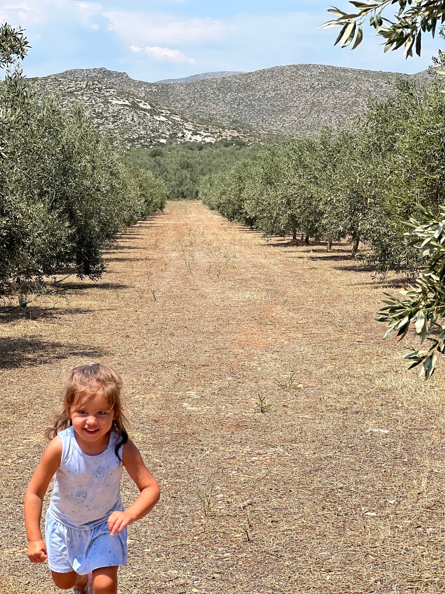 Our daughter having some fun at the groves!