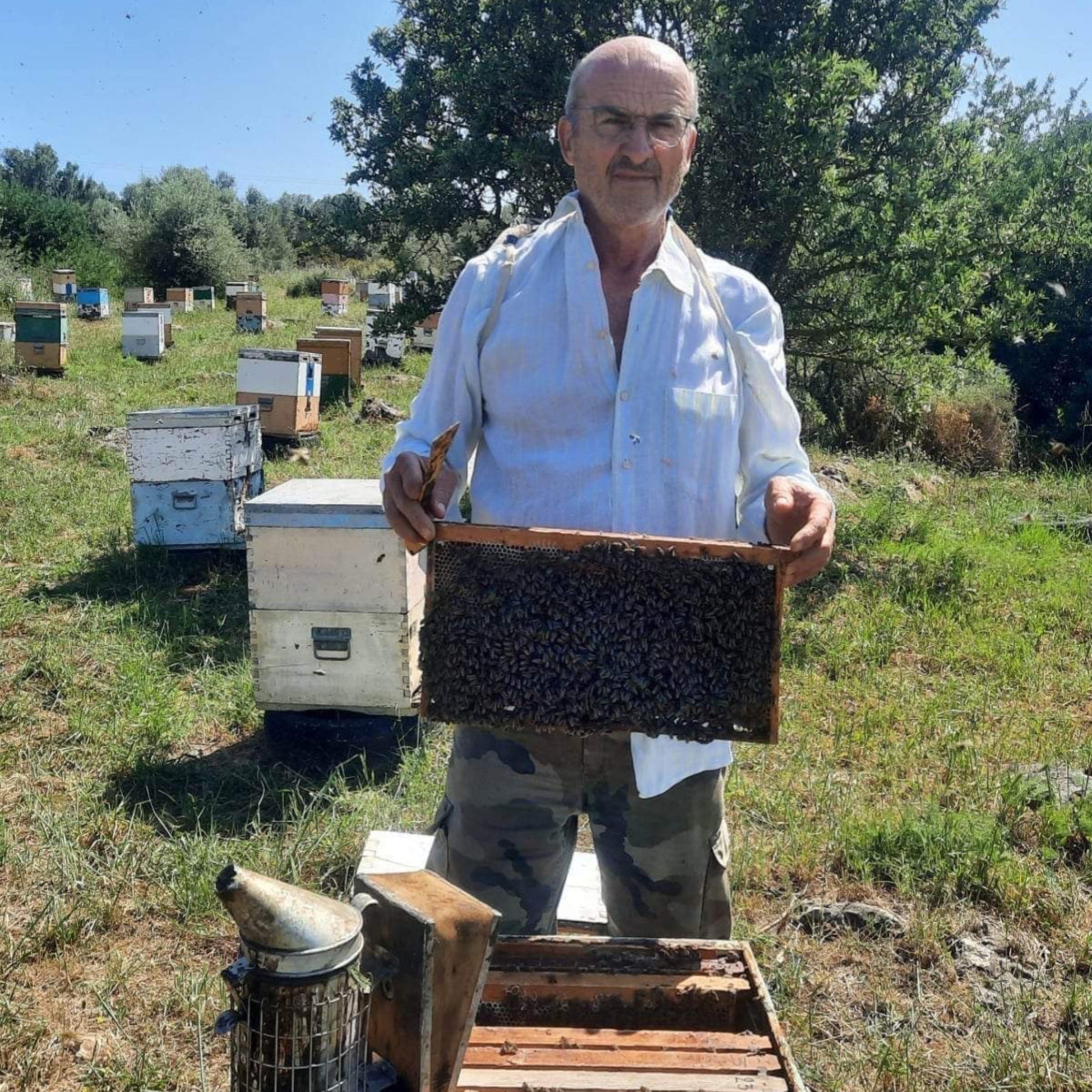 Fourth-Generation Athanasios Manokas Greek Beekeeper in Laconia with Traditional Apiary