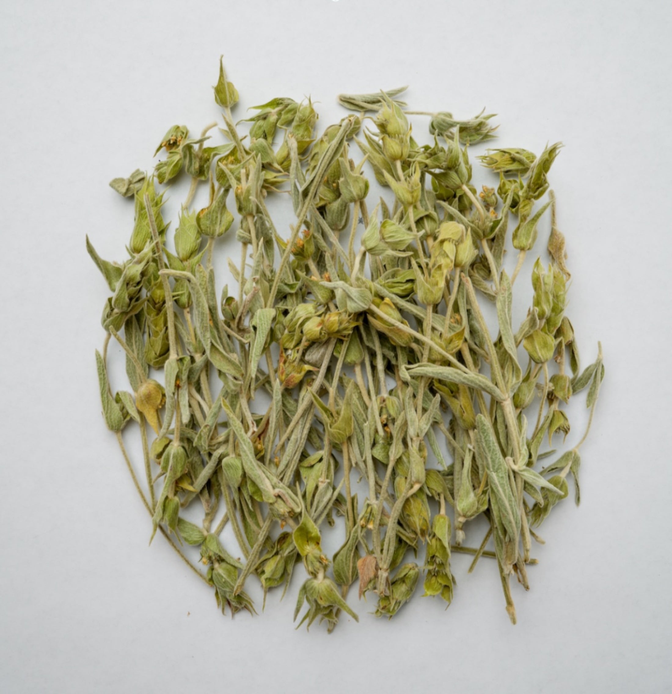 Loose Greek wild mountain tea leaves – hand-picked herbal infusion from Mount Taygetos