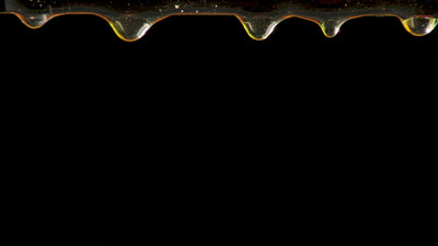 Honey Flowing Video