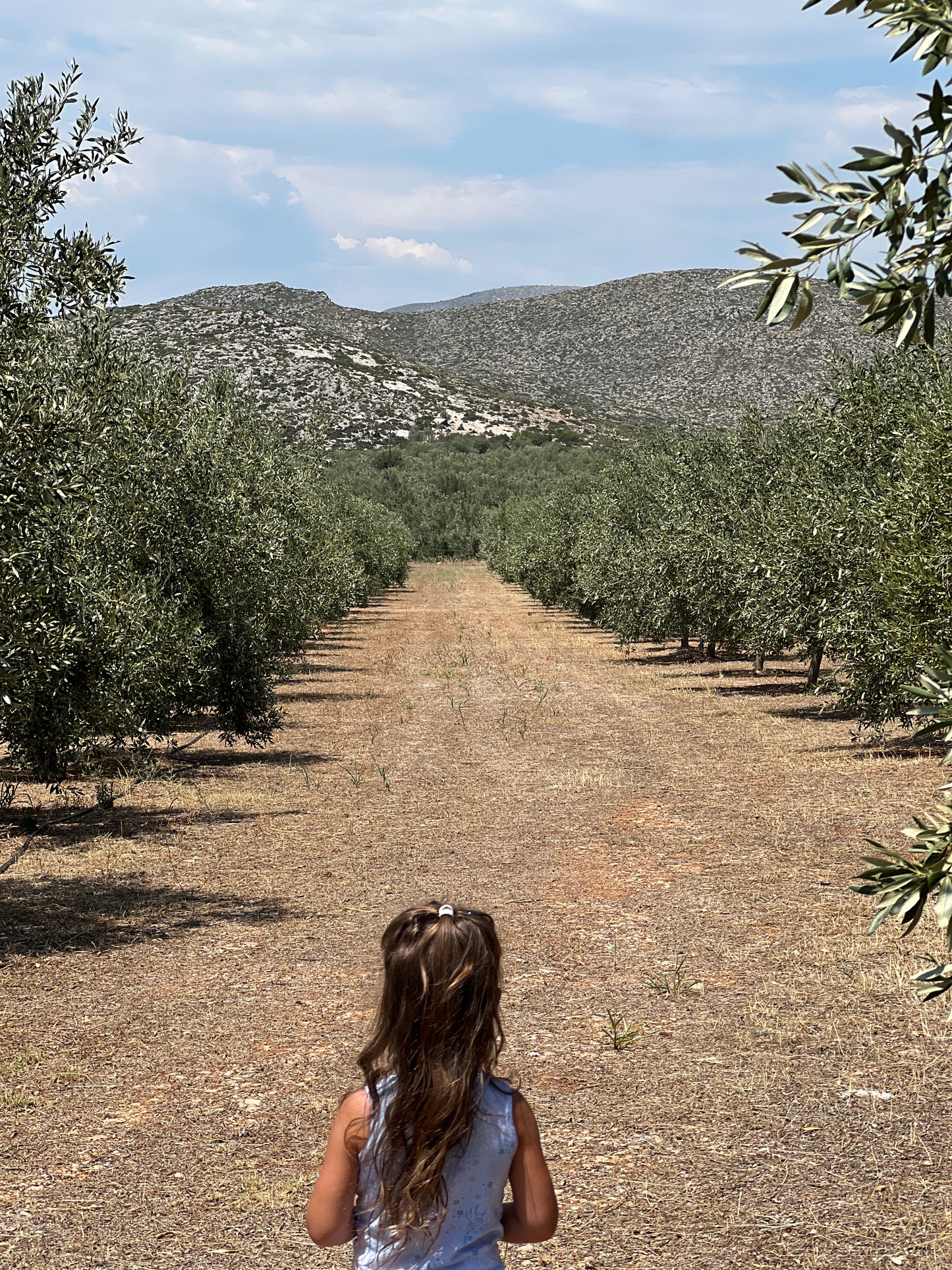 Our daughter Naya, looking out into our estate!